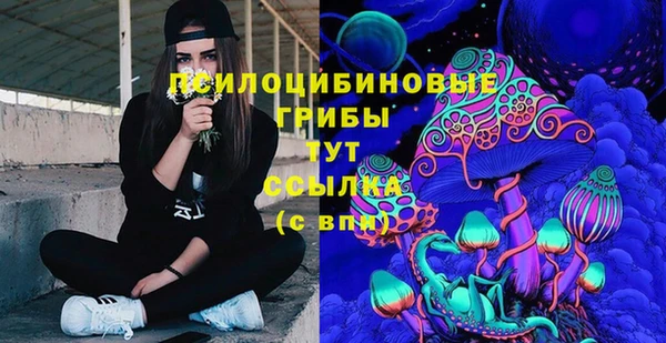 бошки Армянск