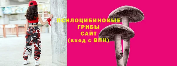 бошки Армянск