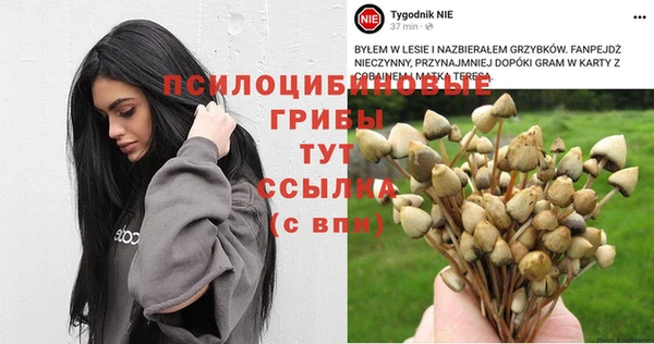 бошки Армянск